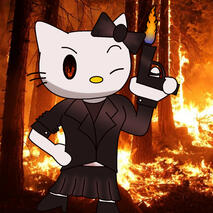 Hello Kitty gun (2020)